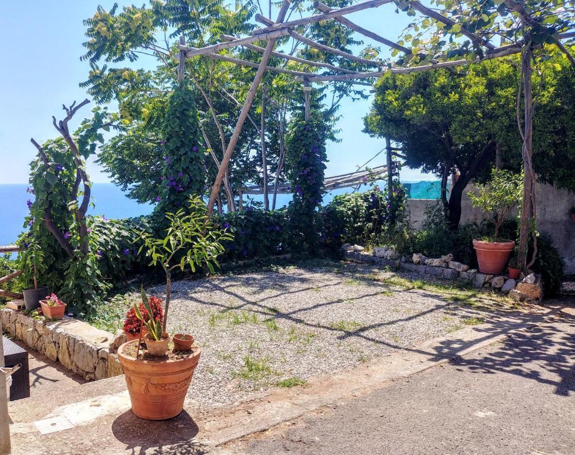 Il Limoneto Apartment Furore Exterior photo